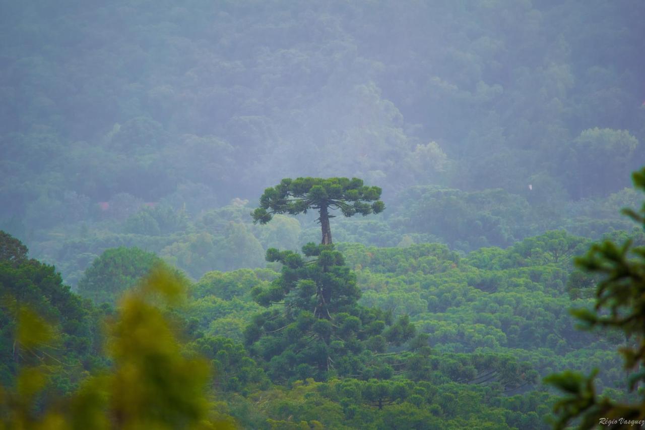 Pousada Ricanto Amore Mio Monte Verde  Εξωτερικό φωτογραφία
