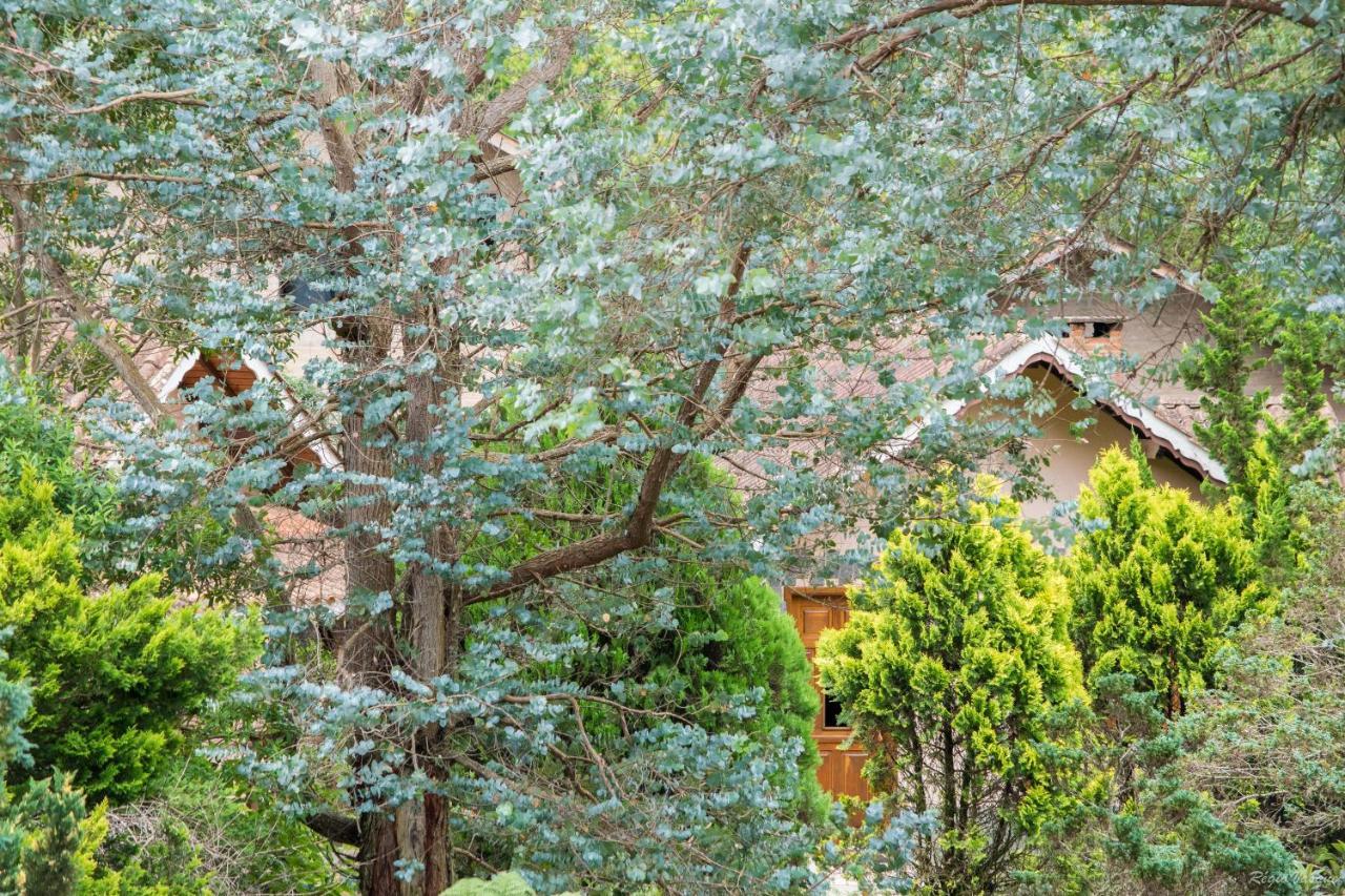 Pousada Ricanto Amore Mio Monte Verde  Εξωτερικό φωτογραφία
